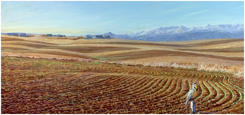 Winter Sprouts, 95th Near Lookout Road, Colorado